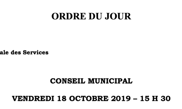 Ordre du jour du conseil municipal de Cagnes sur mer – Vendredi 18 octobre 2019